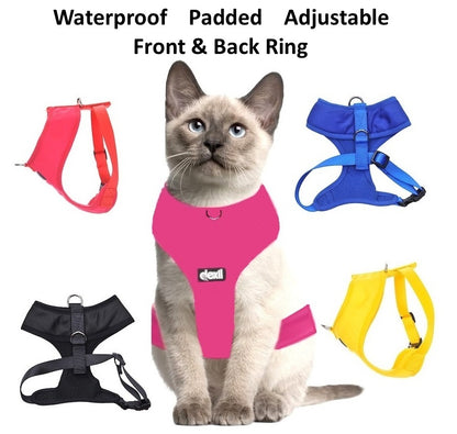 Cat Harness Waterproof Padded Adjustable Front & Back Ring S M L XL Snug Cosy